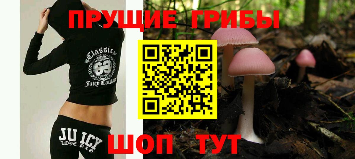 Псилоцибиновые грибы мухоморы  Вход с VPN  Кимры 