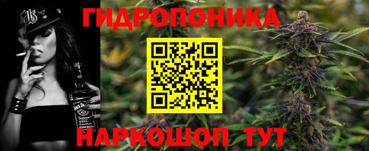 Марихуана VHQ  Марихуана LSD WEED  Канабис сатива  Вход с VPN  Кимры 